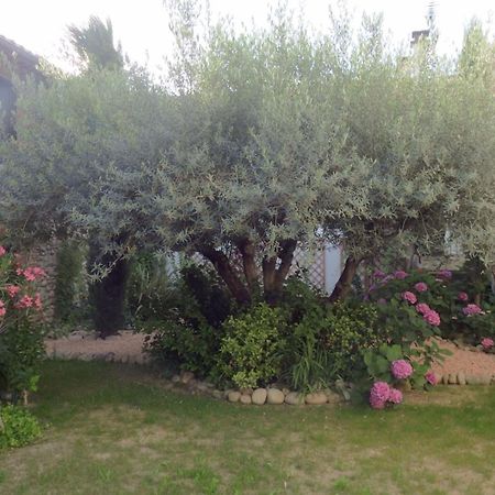Gite Mon Paradis วัลลงปงต์ดาร์ก ภายนอก รูปภาพ