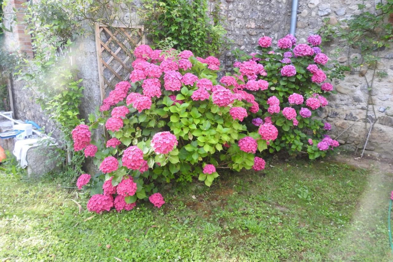 Gite Mon Paradis วัลลงปงต์ดาร์ก ภายนอก รูปภาพ