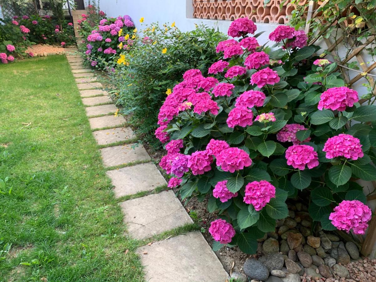 Gite Mon Paradis วัลลงปงต์ดาร์ก ภายนอก รูปภาพ
