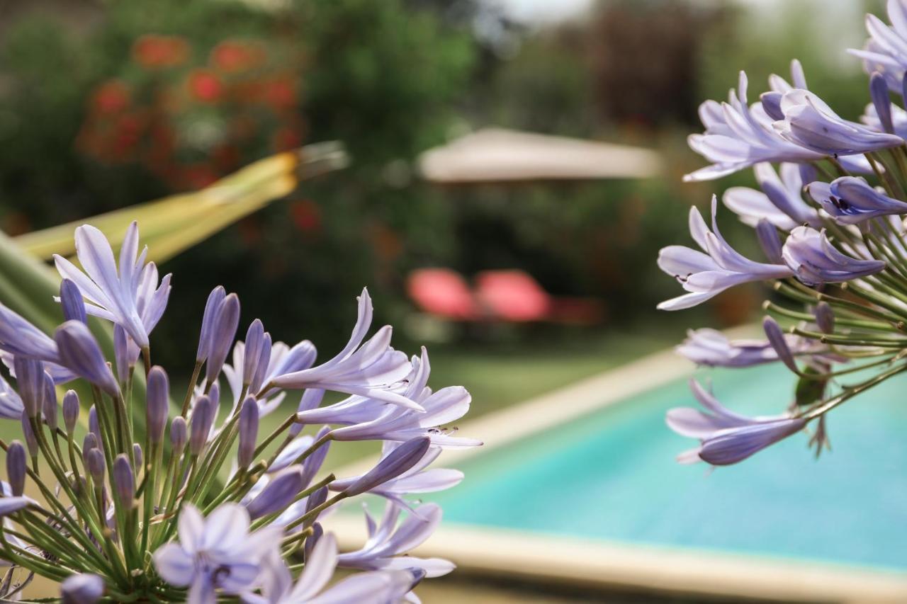 Gite Mon Paradis วัลลงปงต์ดาร์ก ภายนอก รูปภาพ