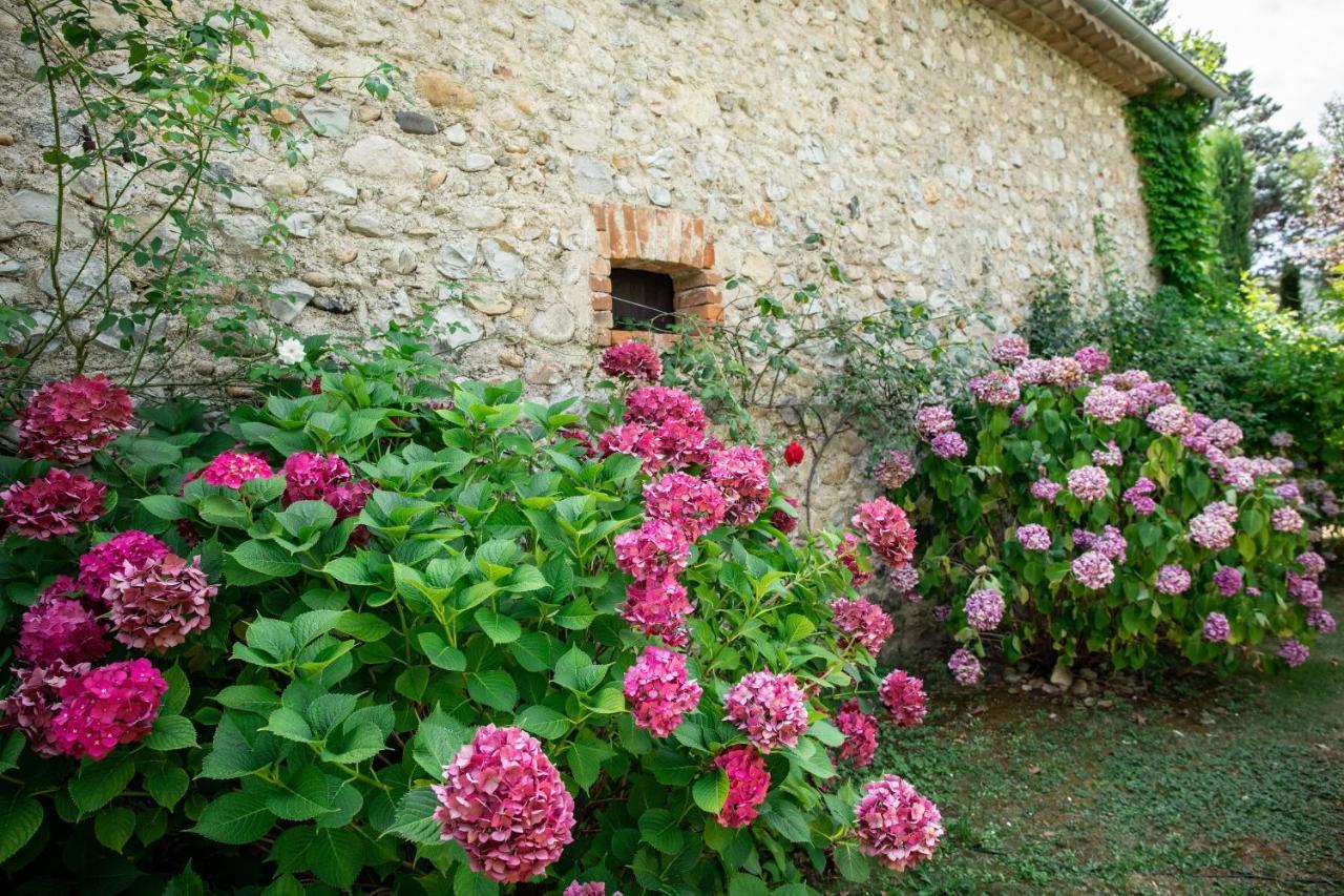 Gite Mon Paradis วัลลงปงต์ดาร์ก ภายนอก รูปภาพ